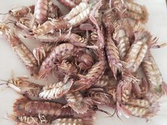 -江南村海鲜馆(洞头店)