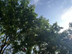 -三亚红色娘子军演艺公园景区