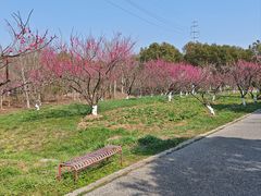 -上海海湾国家森林公园