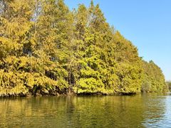 -上海海湾国家森林公园