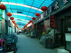 -中环花鸟鱼虫市场