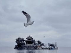 -小普陀