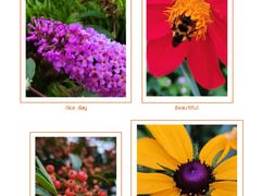 -武陵山森林公园