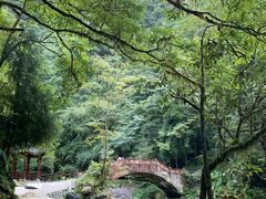 -西岭雪山大飞水景区