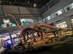 -自贡恐龙博物馆