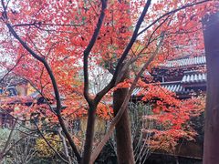 -法云古村