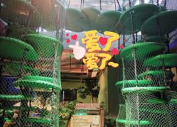 -恐龙探索乐园(磁器口店)