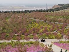 -古柏渡飞黄旅游区