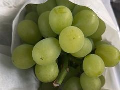 -马陆小张葡萄园农家乐