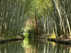 -同里国家湿地公园