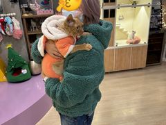 -十年猫舍·猫咪专门店(普陀店)