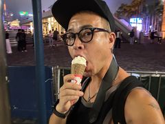 -富豪雪糕车流动点(尖沙咀店)