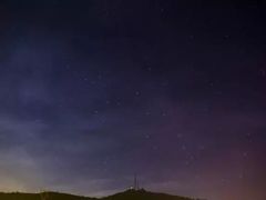 -武陵山森林公园