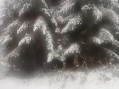 -太子岭滑雪场
