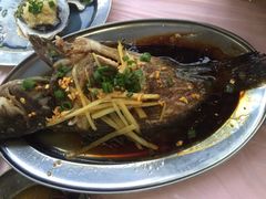 清蒸石斑鱼-板桥海鲜广场(文明东店)