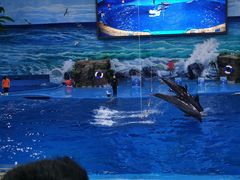 -多彩贵州城极地海洋世界