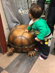 -西瓜庄园儿童摄影