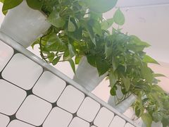 -金粿粿·牛肉粿