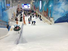 -Mr·Kuma酷么先生雪之乐园