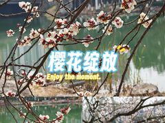 -金鸡湖景区