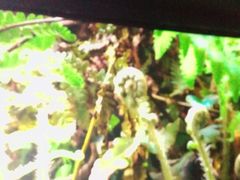 -UME影城(安贞DTS:X店)