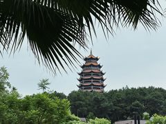 -铁山坪森林公园