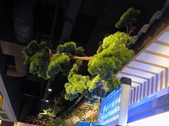 -呷湘厨·鱼汤捞饭·剁椒鱼头·辣椒炒肉(国家会展中心店)