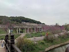 -苏州上方山国家森林公园