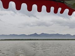 -哈素海