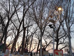 -人民防洪胜利纪念塔