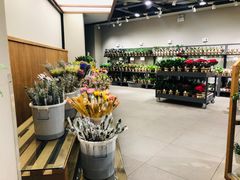 -鹿岛会员店 (龙湖三千集天街店)