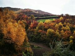 -云顶山风景区