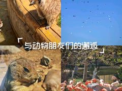 -大连森林动物园