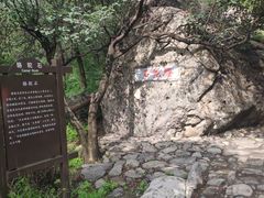 -阳台山自然风景区