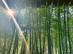 -张公山寨景区