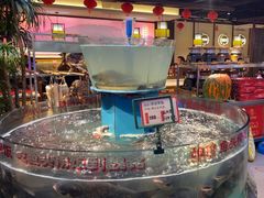 -魏铭鱼头捞饭(晋阳路店)