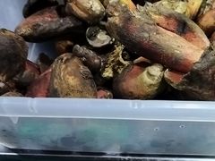 -滇野云南野生菌餐厅(陕西南路店)