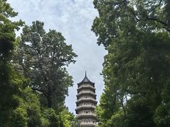 -灵谷景区