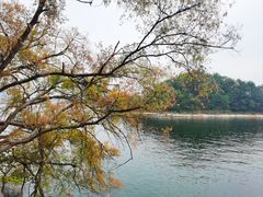 -月光岛(五龙岛)