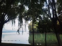 -天鹅湖体育公园
