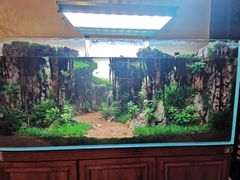 -杭州香格里拉饭店
