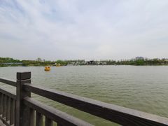 -上海长兴岛郊野公园