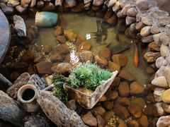 -威海九禧海鲜居渔水饺(经区店)