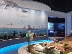-大连市规划展示中心