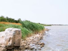 -天津东丽湖风景区