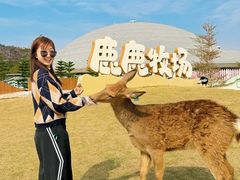 -盈香心动乐园