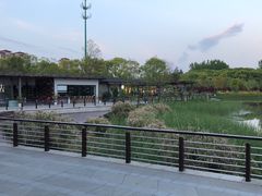 -昆山城市生态森林公园