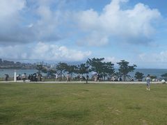 -小麦岛公园