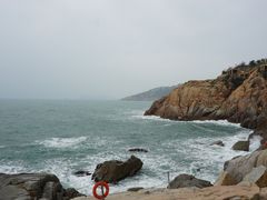 -广东惠东海龟国家级自然保护区