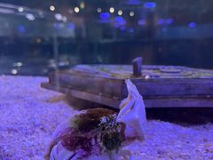 -欢乐海岸海洋奇梦馆